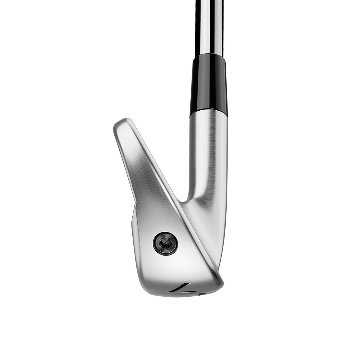 TaylorMade P790 Irons
